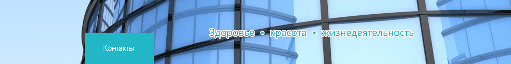 Контакты